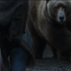 Image for article titled New Game of Thrones Trailer! New Game of Thrones Trailer!
